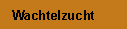 Wachtelzucht