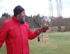 falconery courses